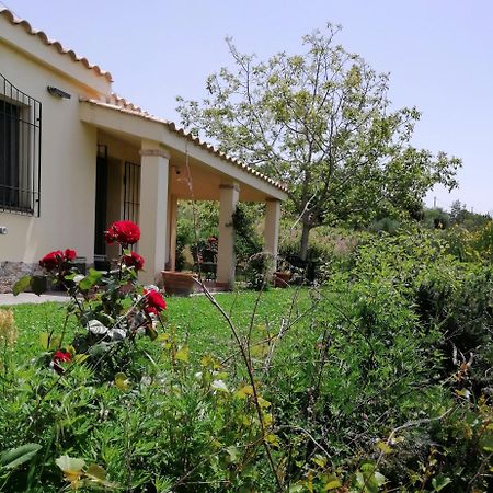 S'Orrosa Casa Vacanze Bifamiliare In Montagna Panorama Stupendo Sardegna Seùlo Εξωτερικό φωτογραφία