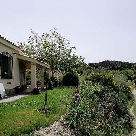 S'Orrosa Casa Vacanze Bifamiliare In Montagna Panorama Stupendo Sardegna Seùlo Εξωτερικό φωτογραφία