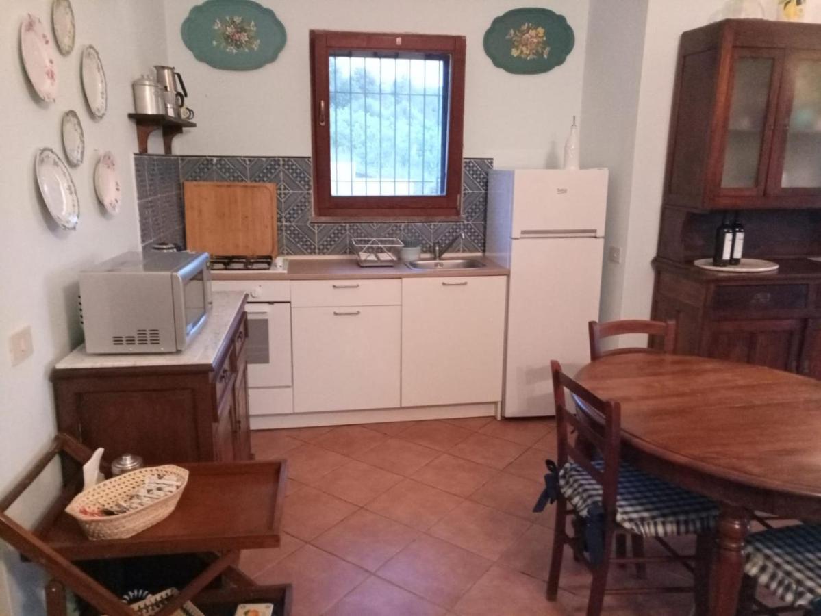 S'Orrosa Casa Vacanze Bifamiliare In Montagna Panorama Stupendo Sardegna Seùlo Εξωτερικό φωτογραφία