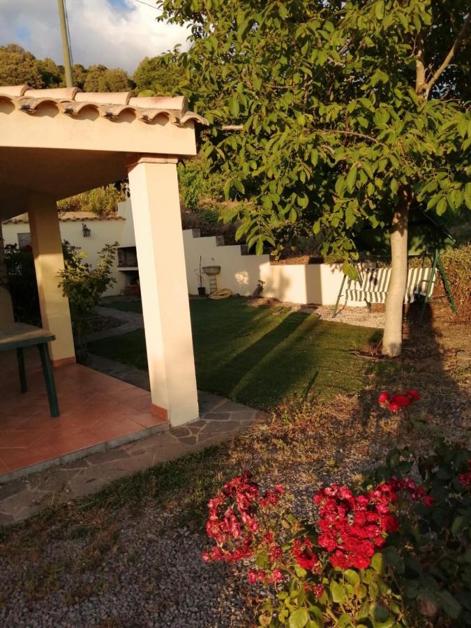 S'Orrosa Casa Vacanze Bifamiliare In Montagna Panorama Stupendo Sardegna Seùlo Εξωτερικό φωτογραφία