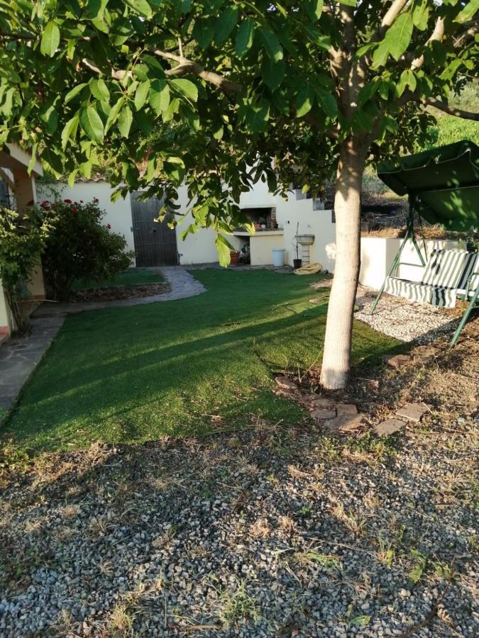 S'Orrosa Casa Vacanze Bifamiliare In Montagna Panorama Stupendo Sardegna Seùlo Εξωτερικό φωτογραφία