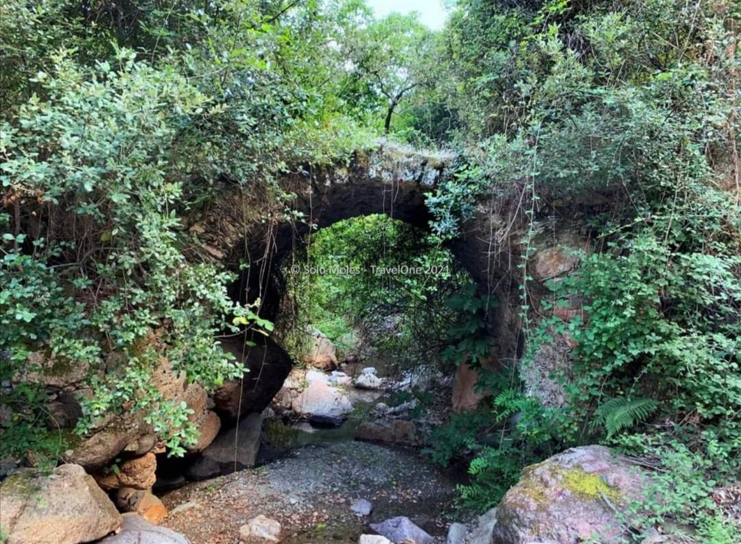 S'Orrosa Casa Vacanze Bifamiliare In Montagna Panorama Stupendo Sardegna Seùlo Εξωτερικό φωτογραφία
