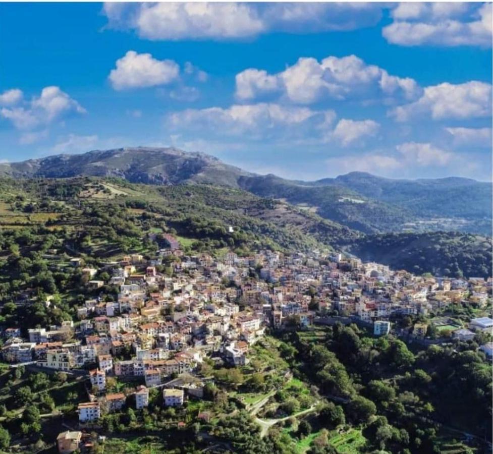 S'Orrosa Casa Vacanze Bifamiliare In Montagna Panorama Stupendo Sardegna Seùlo Εξωτερικό φωτογραφία