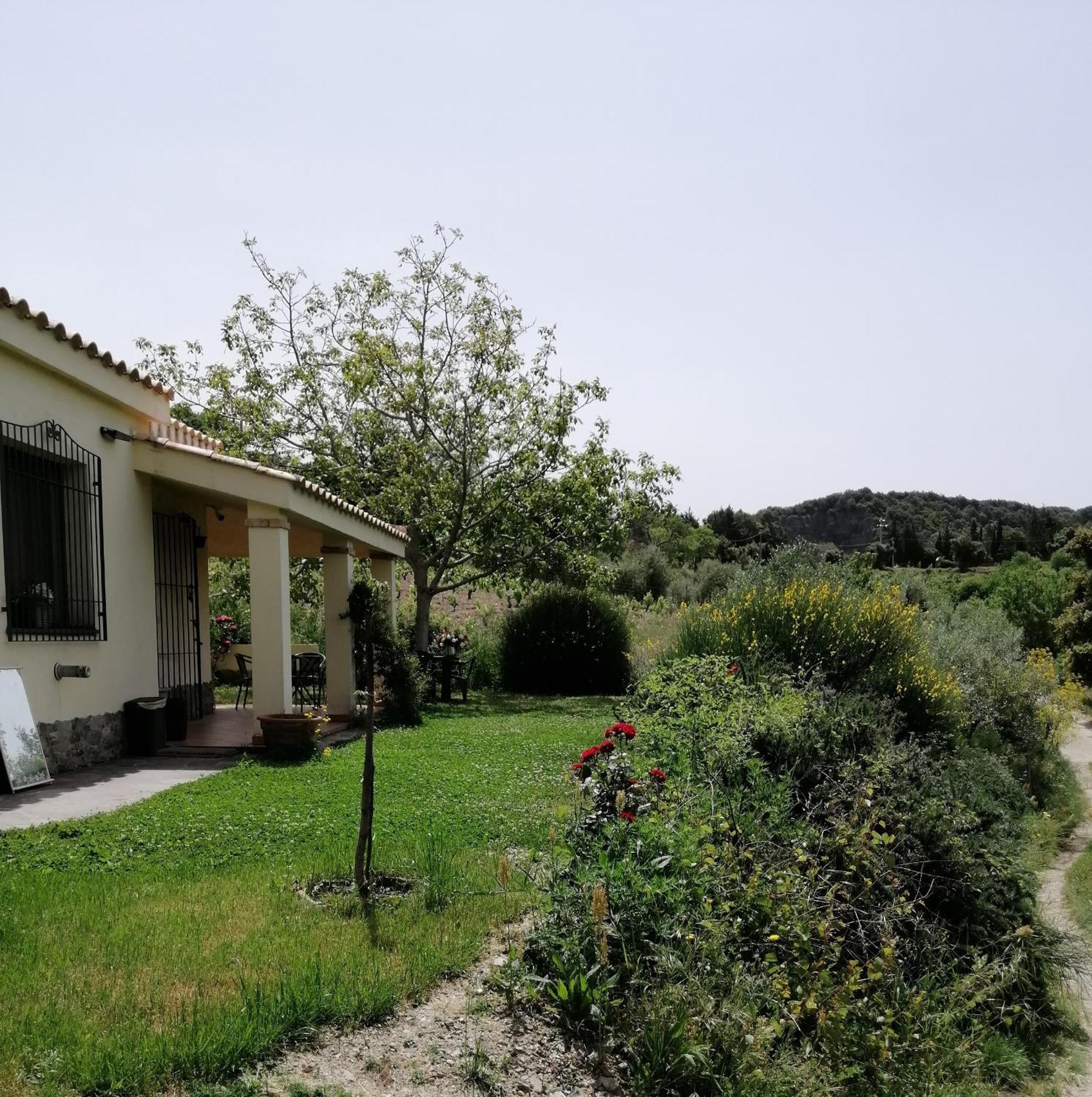 S'Orrosa Casa Vacanze Bifamiliare In Montagna Panorama Stupendo Sardegna Seùlo Εξωτερικό φωτογραφία