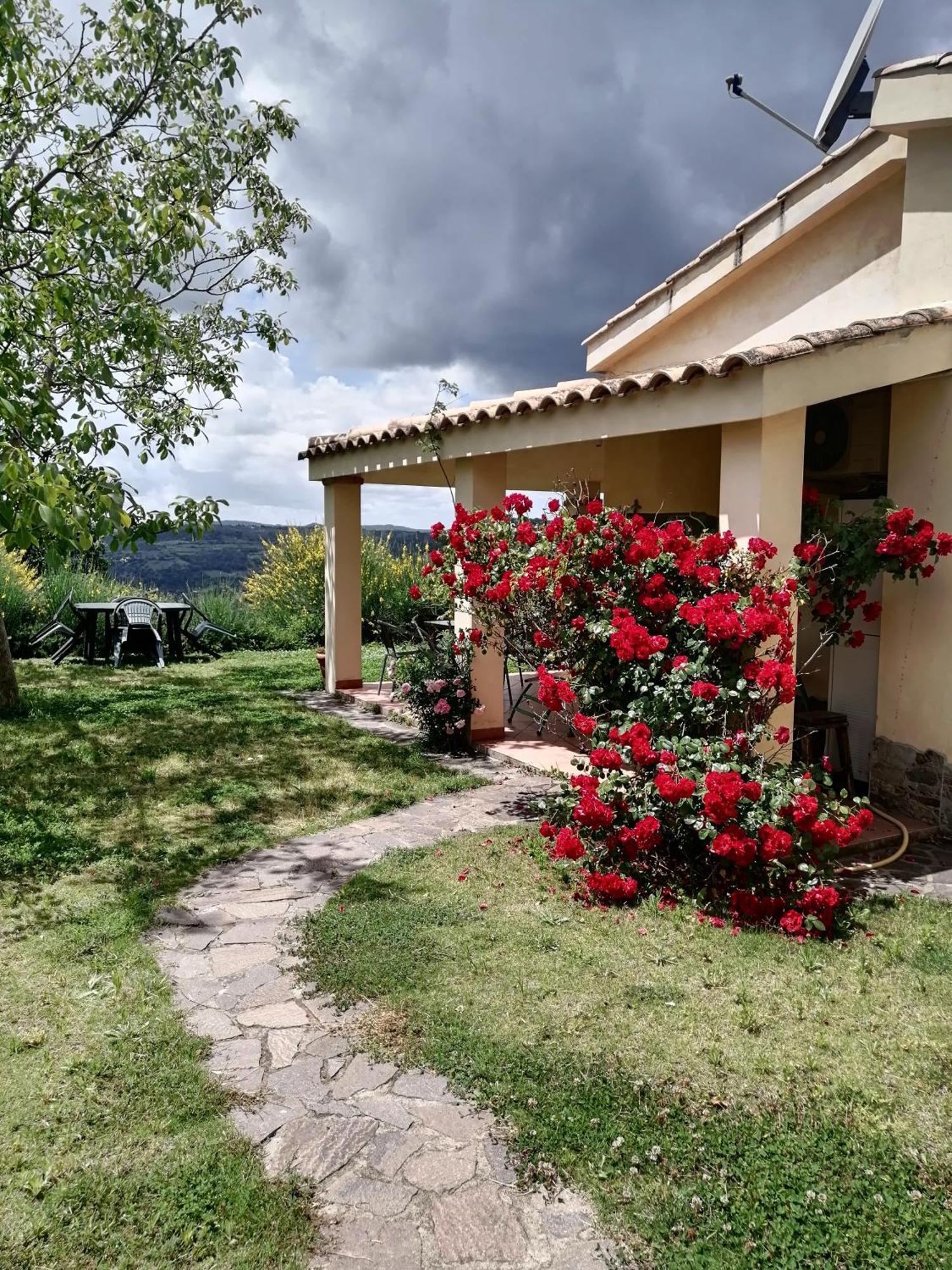 S'Orrosa Casa Vacanze Bifamiliare In Montagna Panorama Stupendo Sardegna Seùlo Εξωτερικό φωτογραφία