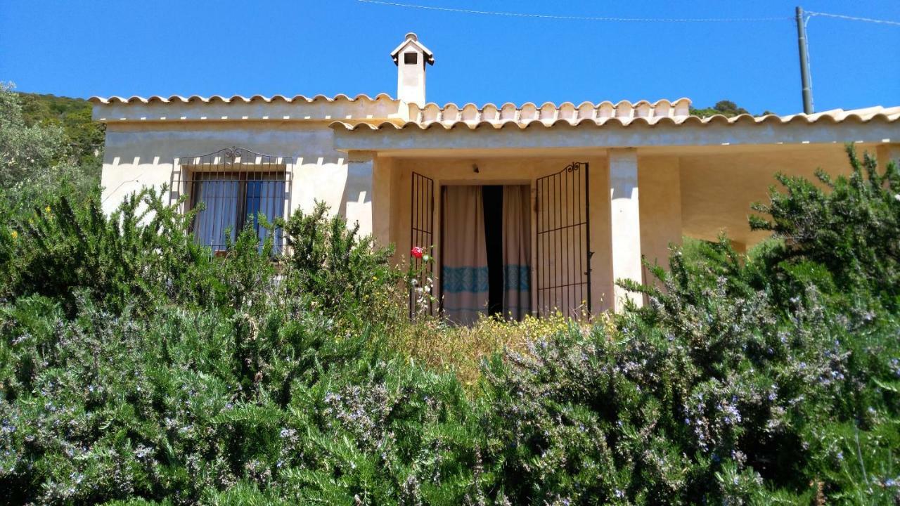 S'Orrosa Casa Vacanze Bifamiliare In Montagna Panorama Stupendo Sardegna Seùlo Εξωτερικό φωτογραφία