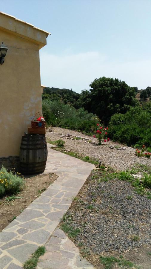 S'Orrosa Casa Vacanze Bifamiliare In Montagna Panorama Stupendo Sardegna Seùlo Εξωτερικό φωτογραφία