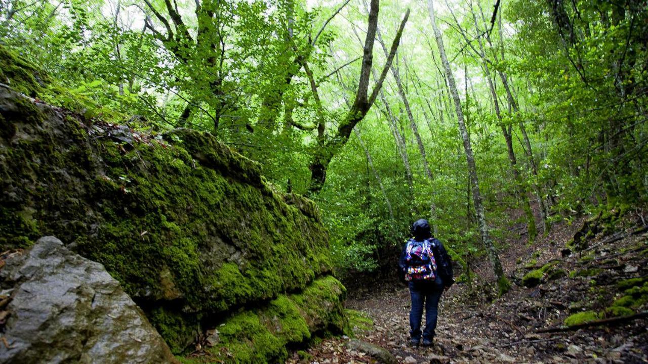 S'Orrosa Casa Vacanze Bifamiliare In Montagna Panorama Stupendo Sardegna Seùlo Εξωτερικό φωτογραφία