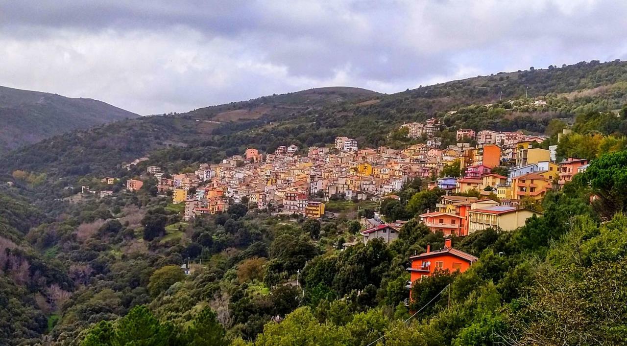 S'Orrosa Casa Vacanze Bifamiliare In Montagna Panorama Stupendo Sardegna Seùlo Εξωτερικό φωτογραφία