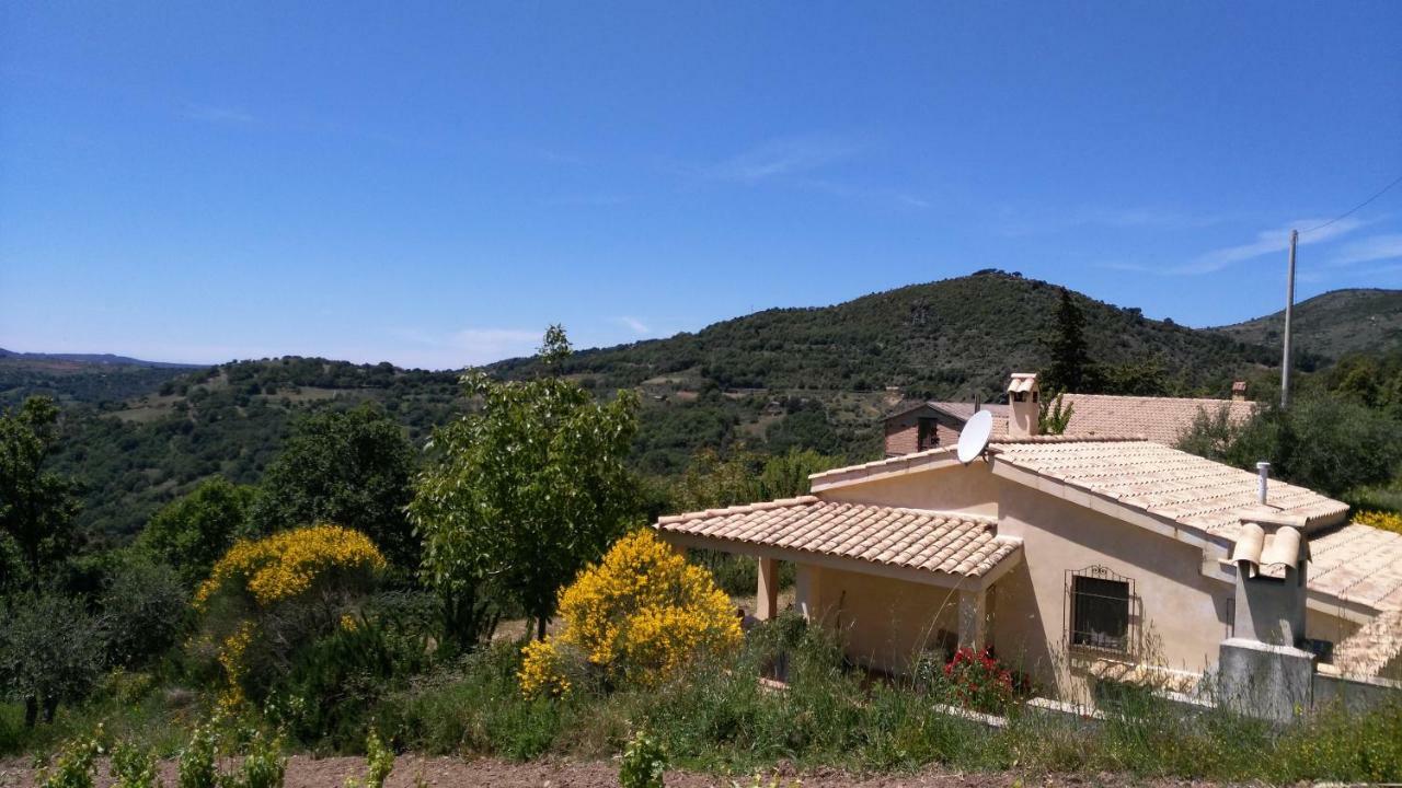 S'Orrosa Casa Vacanze Bifamiliare In Montagna Panorama Stupendo Sardegna Seùlo Εξωτερικό φωτογραφία