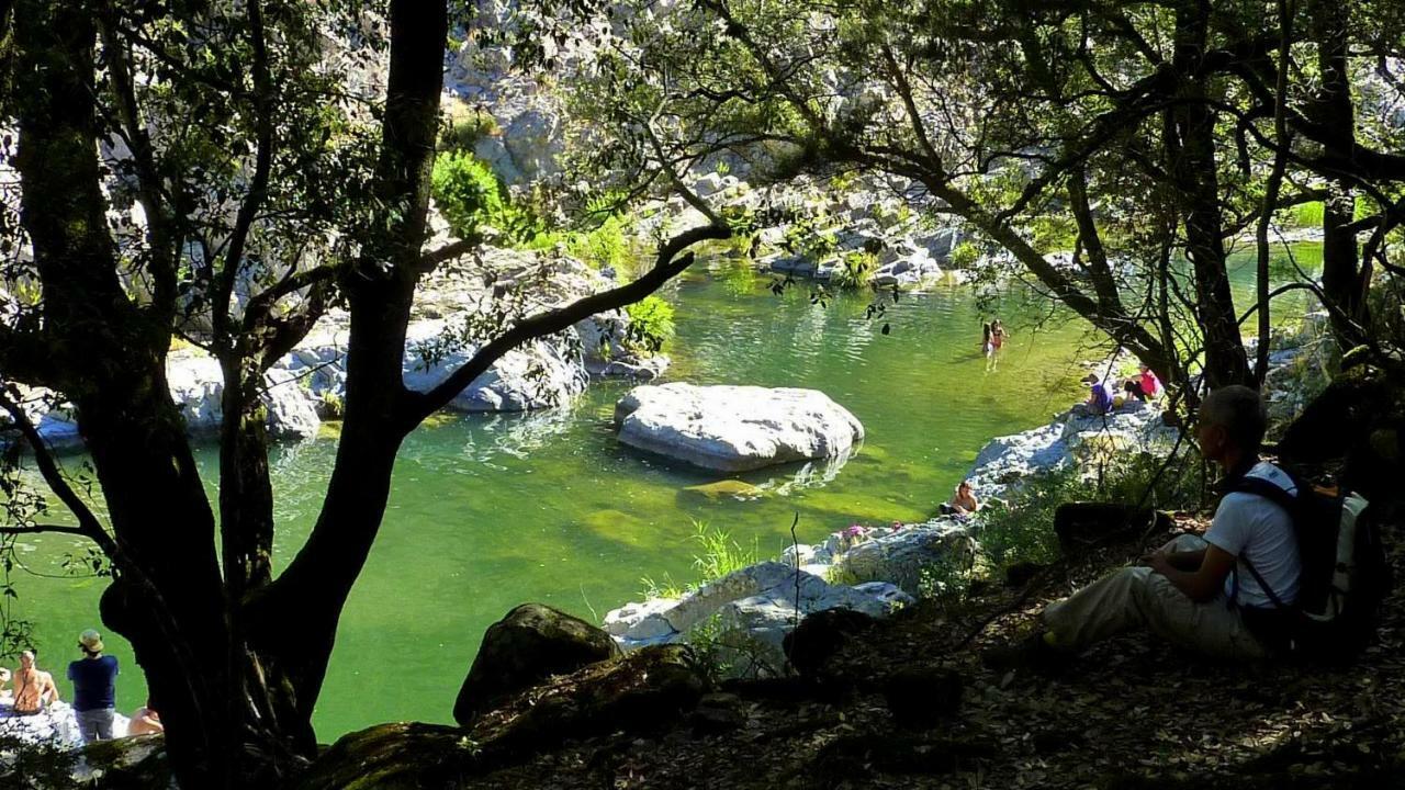 S'Orrosa Casa Vacanze Bifamiliare In Montagna Panorama Stupendo Sardegna Seùlo Εξωτερικό φωτογραφία